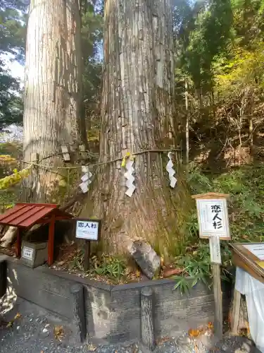 日光二荒山神社(栃木県)