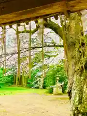 日先神社の自然