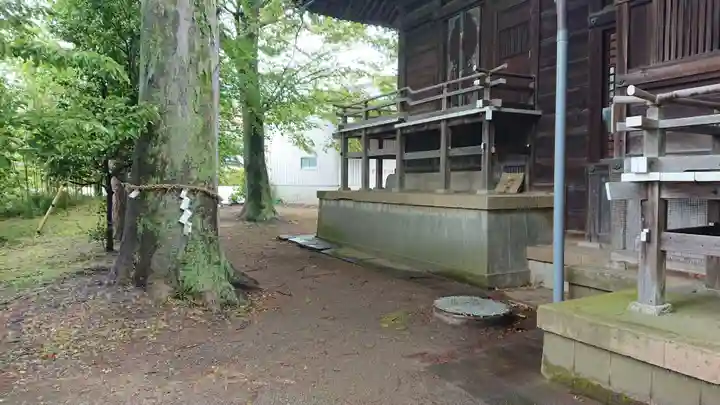 八幡神社の自然