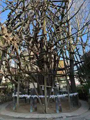 白髭神社(神奈川県)
