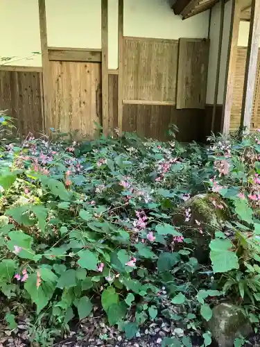 施福寺(大阪府)