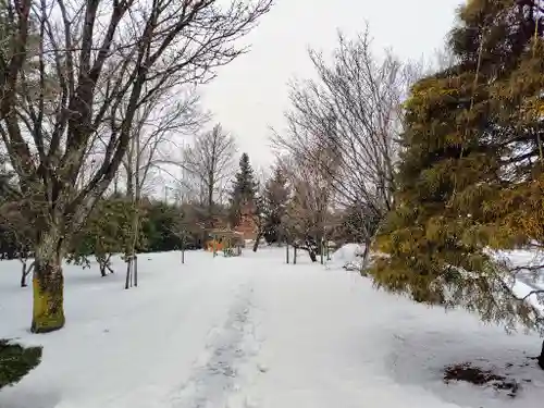 美瑛神社(北海道)