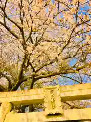 鹿嶋神社の自然