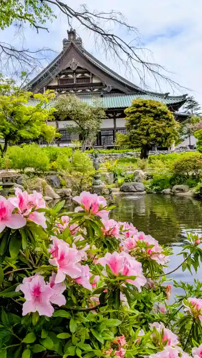 時宗総本山 遊行寺(正式:清浄光寺)の{uncategorized: "未分類", other: "その他", undefined: "問題あり", building: "その他建物", grave: "お墓", sacred_gate: "鳥居", guardian: "狛犬", statue: "像", buddha: "仏像", history: "歴史", nature: "自然", garden: "庭園", animal: "動物", pagoda: "塔", temizu: "手水舎", mountain_gate: "山門・神門", sanctuary: "本殿・本堂", subordinate: "末社・摂社", art: "芸術", scenery: "景色", jizo: "地蔵", ema: "絵馬", goshuin: "御朱印", omikuji: "おみくじ", items: "授与品その他", amulet: "お守り", goshuincho: "御朱印帳", eats: "食事", festival: "お祭り", votive_dance: "神楽", shichigosan: "七五三参", wedding: "結婚式", experience: "体験その他", initially: "初詣", around: "周辺", anti_infection: "感染症対策"}