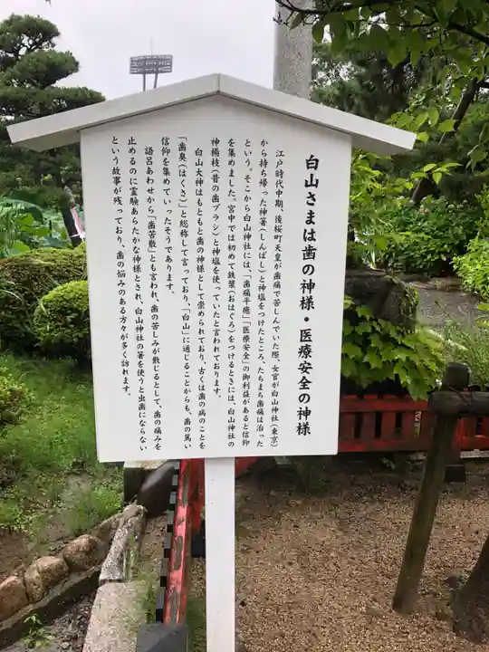 白山神社(新潟県)