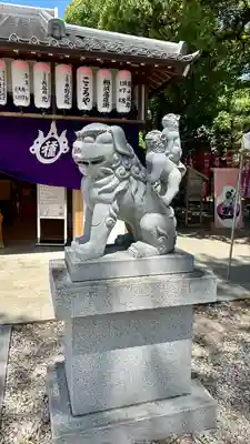 住吉大社(大阪府)