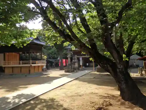 鶴峯八幡宮の本殿