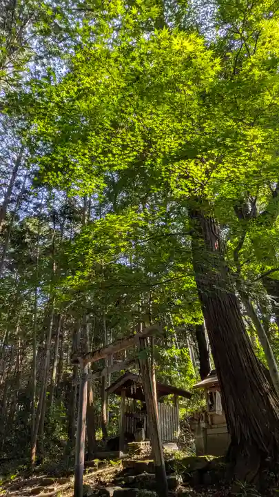 愛宕神社(阿多古神社)(京都府)