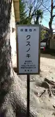 冠須賀神社（辻子）の自然