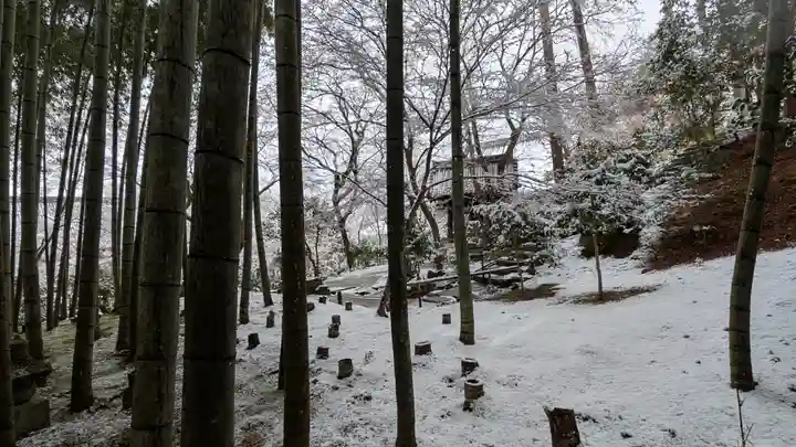 圓光寺(京都府)