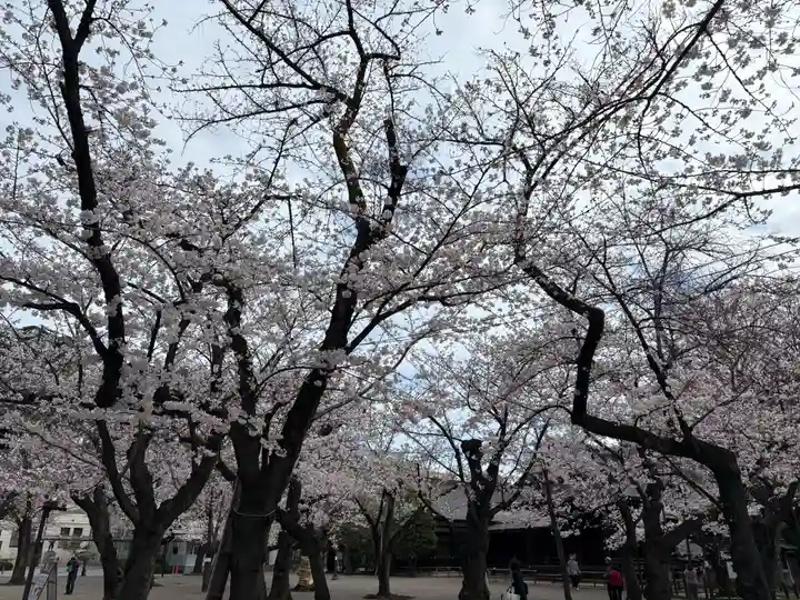 靖國神社(東京都)