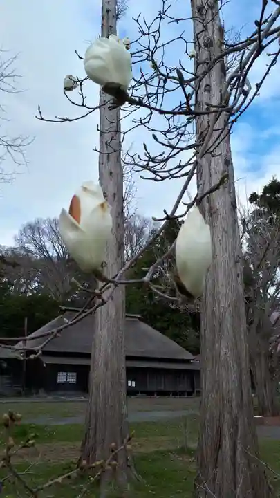 有珠善光寺の自然