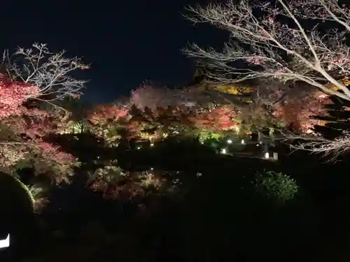 東寺（教王護国寺）の景色