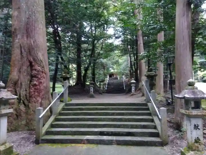 八幡神社(武芸八幡宮)(岐阜県)