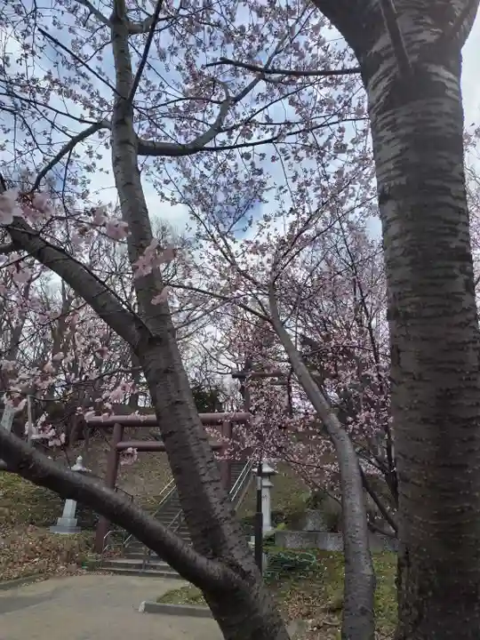 厚別神社(北海道)