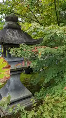 勝林寺(京都府)