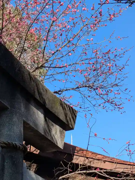 牛天神北野神社(東京都)
