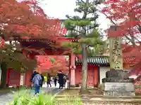 真正極楽寺(真如堂)の山門・神門