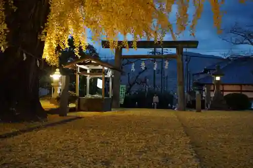 丹生酒殿神社の鳥居