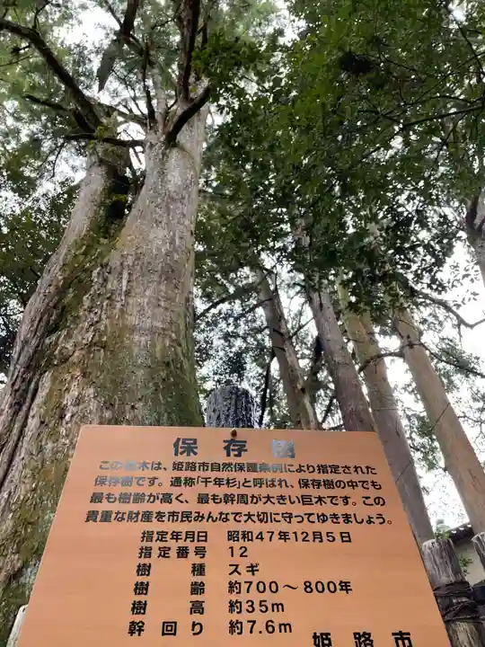 圓教寺(兵庫県)