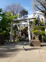 鳩森八幡神社の鳥居