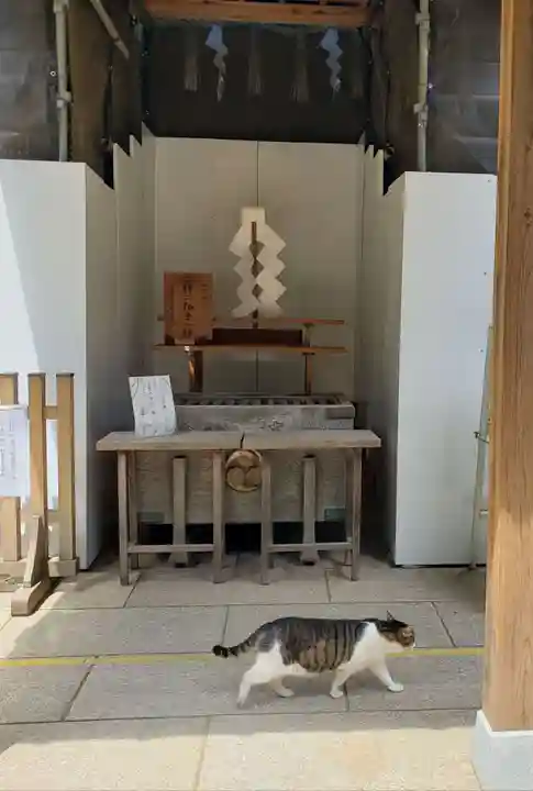 代々木八幡宮の動物