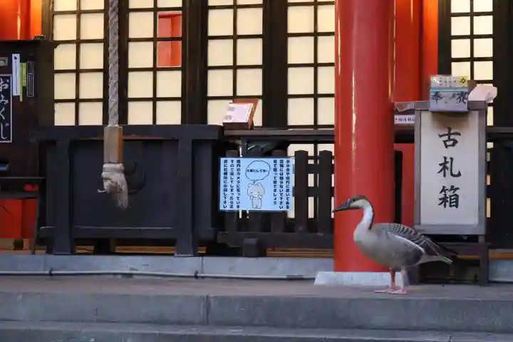 くまくま神社(導きの社 熊野町熊野神社)(東京都)
