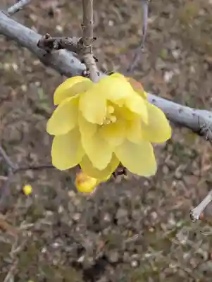 寳幢院(東京都)