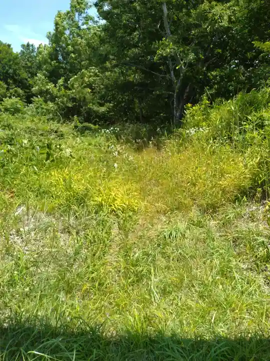 伊勢神社(宮城県)