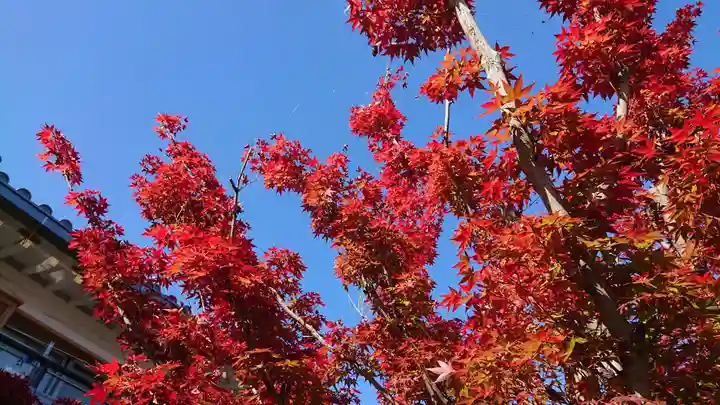 寿量山 速成寺の庭園