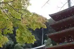 長谷寺の建物その他