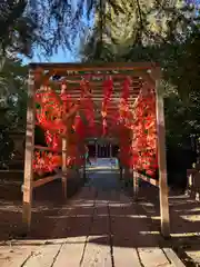 越谷香取神社(埼玉県)