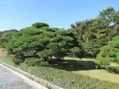 伊勢神宮内宮（皇大神宮）の庭園