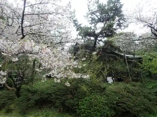 根岸八幡神社(神奈川県)