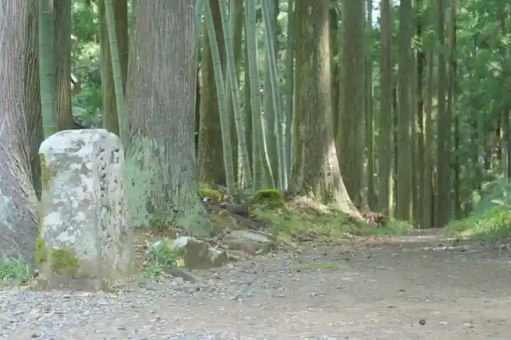 熊野本宮大社の自然