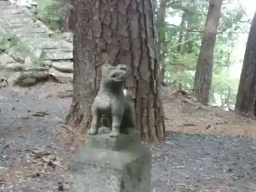 稲荷神社の狛犬