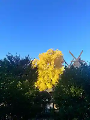 鎌八幡宮(和歌山県)