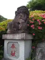 白山神社(東京都)