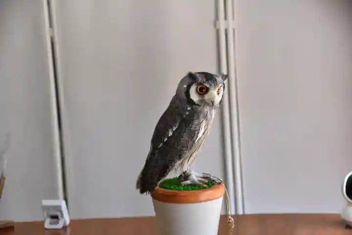 伊那下神社の{uncategorized: "未分類", other: "その他", undefined: "問題あり", building: "その他建物", grave: "お墓", sacred_gate: "鳥居", guardian: "狛犬", statue: "像", buddha: "仏像", history: "歴史", nature: "自然", garden: "庭園", animal: "動物", pagoda: "塔", temizu: "手水舎", mountain_gate: "山門・神門", sanctuary: "本殿・本堂", subordinate: "末社・摂社", art: "芸術", scenery: "景色", jizo: "地蔵", ema: "絵馬", goshuin: "御朱印", omikuji: "おみくじ", items: "授与品その他", amulet: "お守り", goshuincho: "御朱印帳", eats: "食事", festival: "お祭り", votive_dance: "神楽", shichigosan: "七五三参", wedding: "結婚式", experience: "体験その他", initially: "初詣", around: "周辺", anti_infection: "感染症対策"}