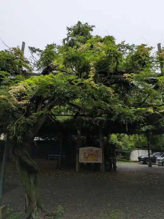 國領神社(東京都)