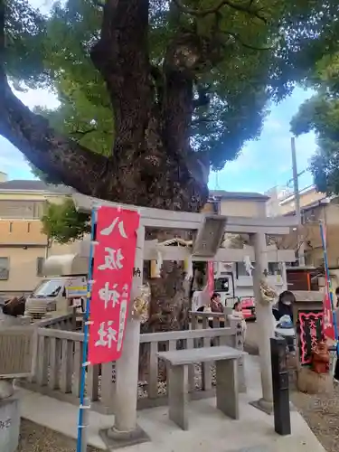八坂神社(大阪府)