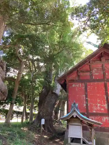 部田神社(静岡県)
