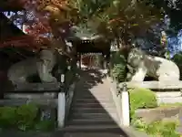 善養寺(善養密寺)の狛犬