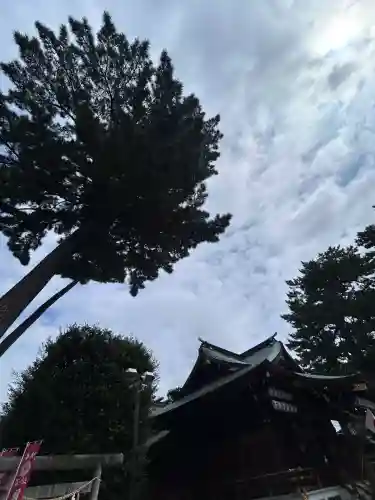 中野沼袋氷川神社(東京都)