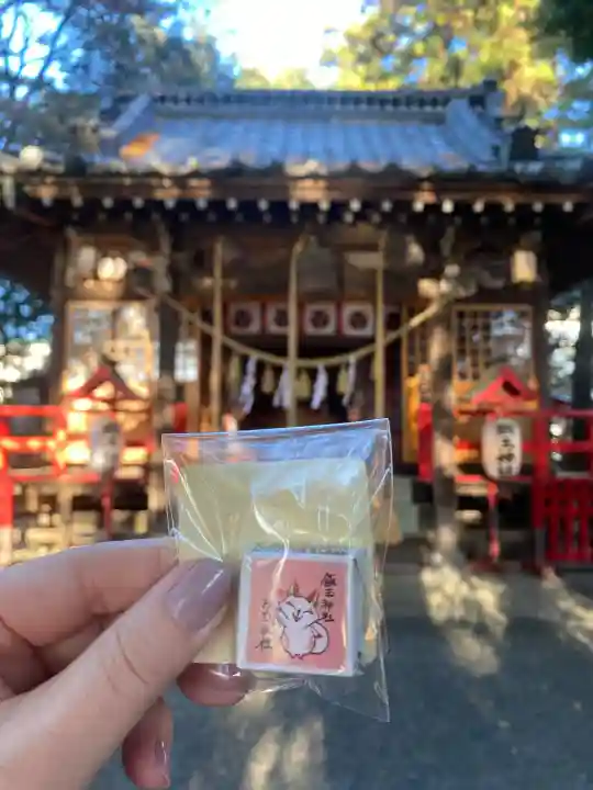開運招福 飯玉神社(群馬県)