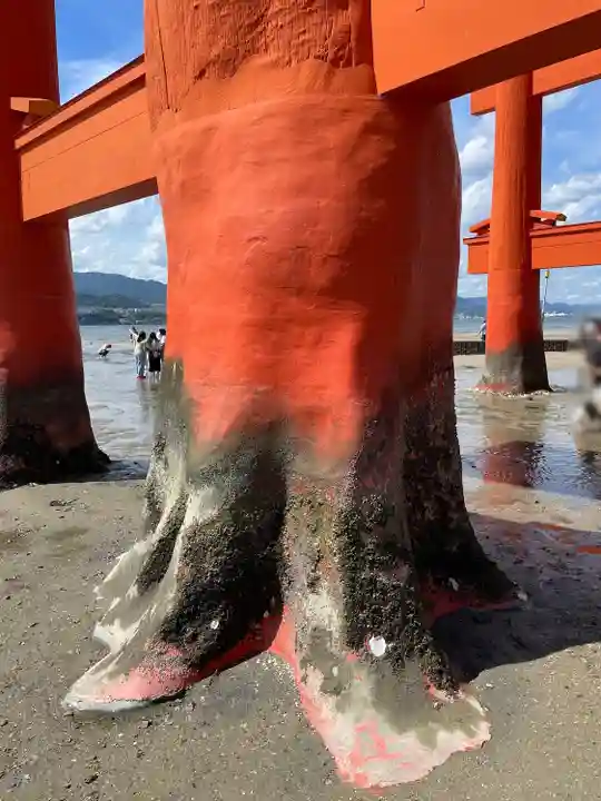 厳島神社(広島県)