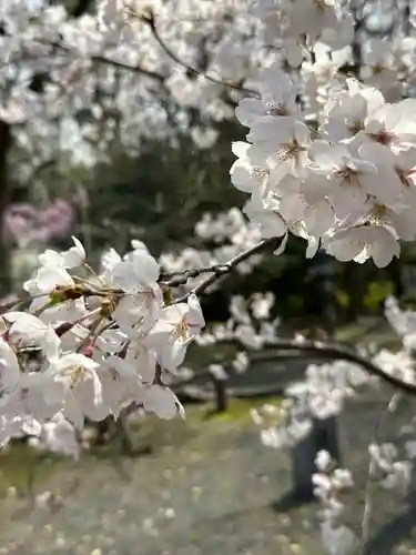 氣比神宮(福井県)