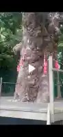 城山八幡宮(愛知県)