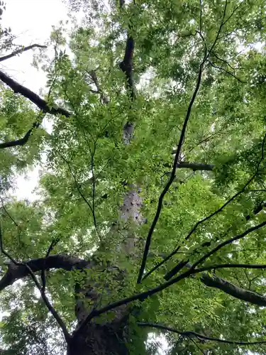 日先神社(茨城県)