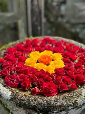 丹生都比売神社(和歌山県)